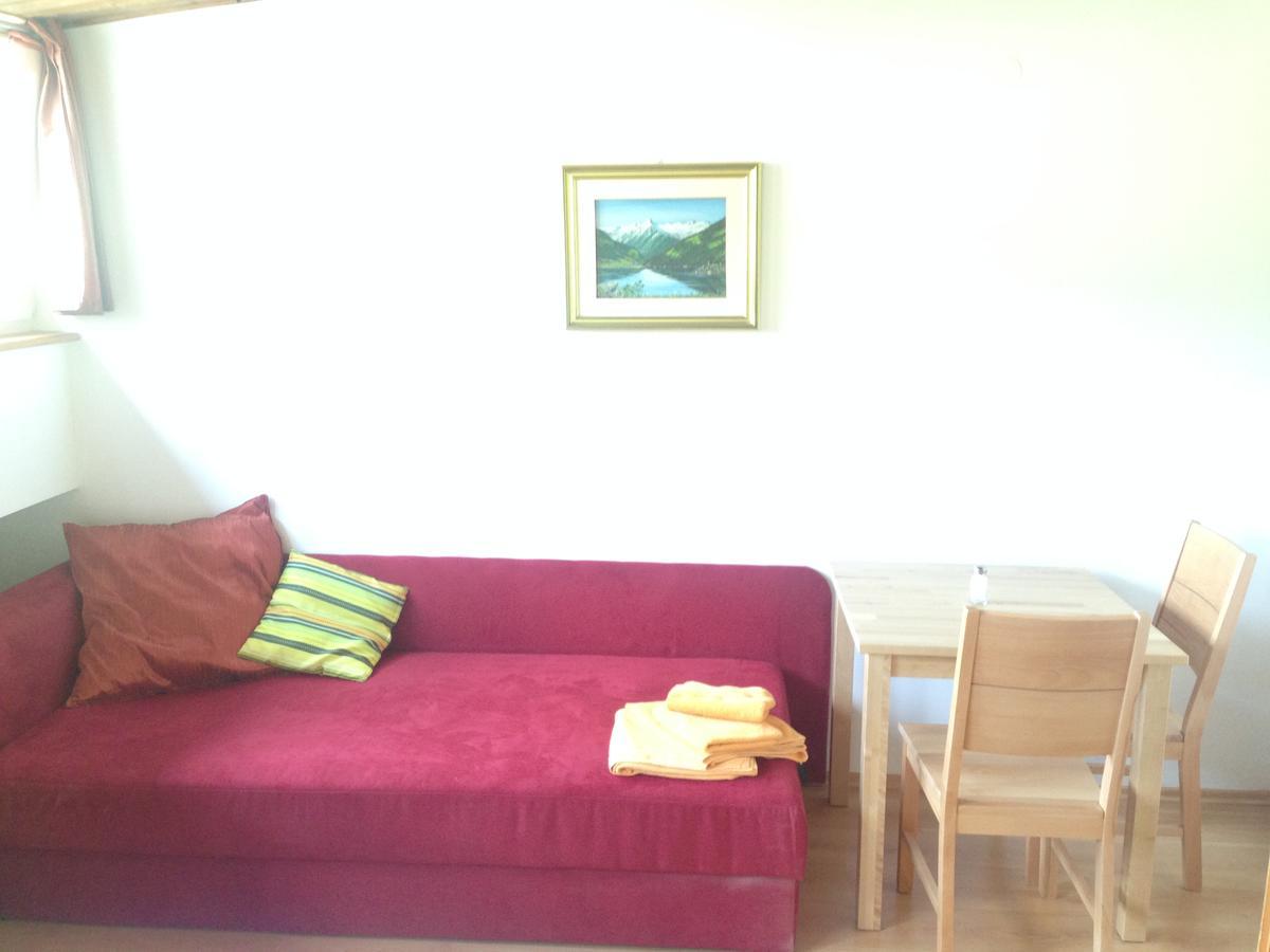 Apartments Mitteregg 萨尔巴赫 外观 照片
